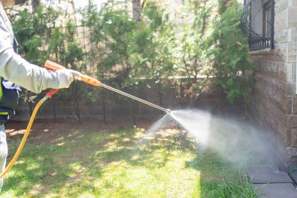 Outdoor Pest Control in Rutherford College, NC